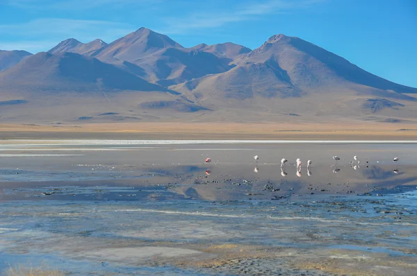 Великолепные ландшафты Сур-Липеца, Южная Боливия — стоковое фото
