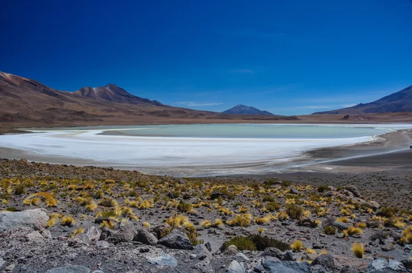 Nydelige landskap i Sur Lipez, Sør-Bolivia – stockfoto