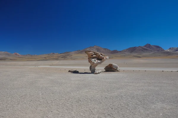 Piedra del arbol, sur lipez, południowej Boliwii — Zdjęcie stockowe
