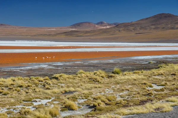 Розкішні пейзажі сюр lipez, Південний Болівії — стокове фото
