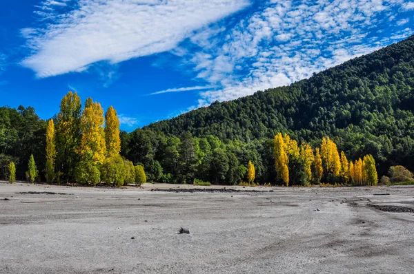 Caburgua pláži poblíž villarrica, chile — Stock fotografie