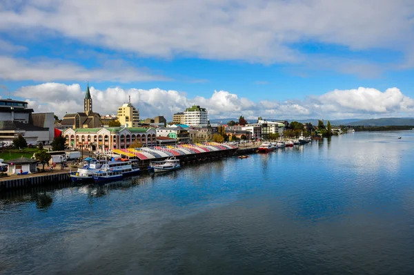 Valdivia Irmak, Şili