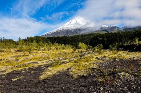 Osorno Volcano viewed from Lago Todos Los Santos, Chile — Stock Photo, Image