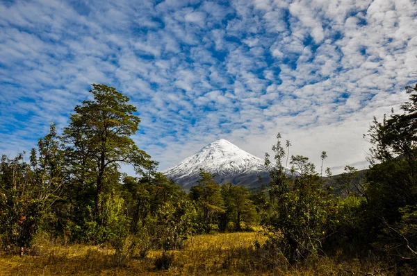 오 소 르노 화산 라고 토 도스 로스 산토스에서 본 칠레 — 스톡 사진