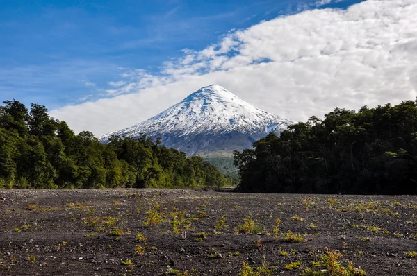 오 소 르노 화산 라고 토 도스 로스 산토스에서 본 칠레 — 스톡 사진