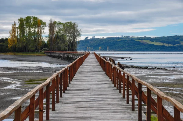 Infinity dock, Chiloe Island, Чили — стоковое фото