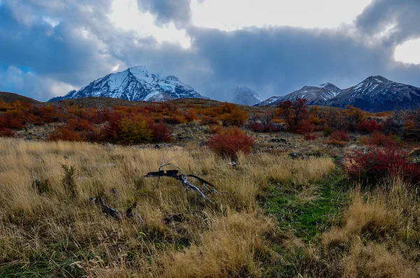 Parque nacional torres del paine, Chili — Stockfoto