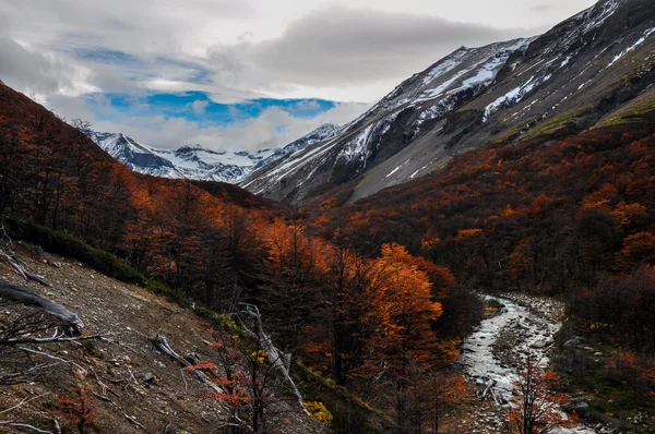 Jesienią wchodzą w parque nacional torres del paine, chile — Zdjęcie stockowe