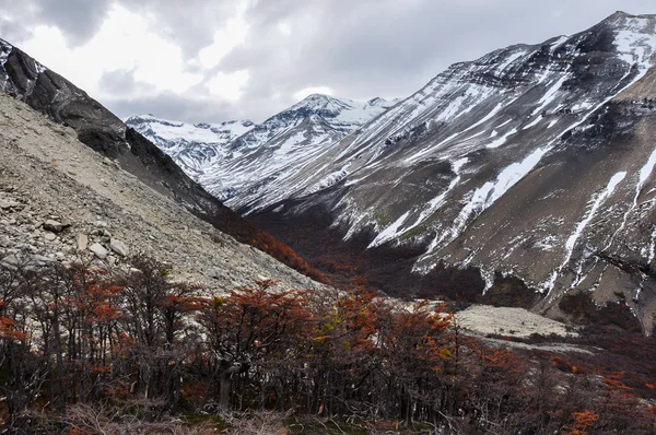 Осень в Parque Nacional Torres del Paine, Чили — стоковое фото