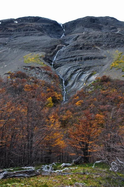 Herfst vallen in parque nacional torres del paine, Chili — Stockfoto