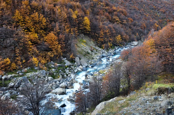 Herfst vallen in parque nacional torres del paine, Chili — Stockfoto