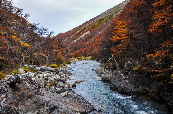 秋季落在公园国立托雷斯德尔潘恩、 智利 — 图库照片