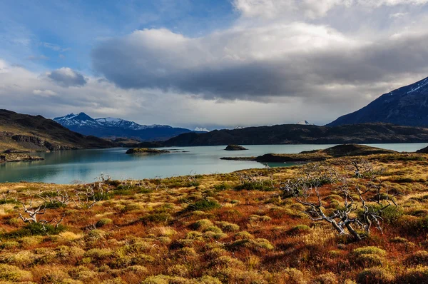 Parque nacional torres del paine, Şili — Stok fotoğraf