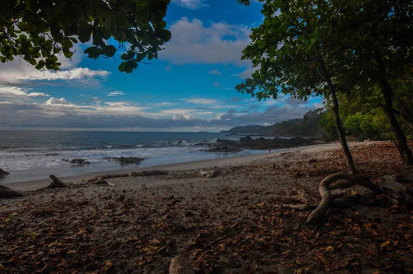 Montezuma strand, nicoya halbinsel, costa rica lizenzfreie Stockfotos