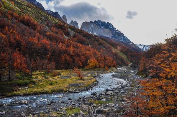 Outono Outono no Parque Nacional Torres del Paine, Chile Imagens Royalty-Free