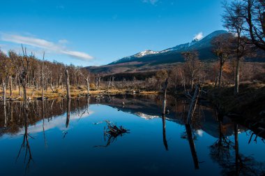 tierra del fuego, Güney Arjantin manzaralar