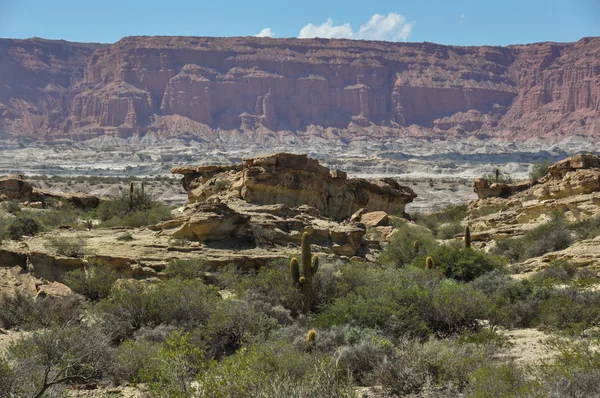 Ischigualasto rock formations in Valle de la Luna, Argentina — Stock Photo, Image