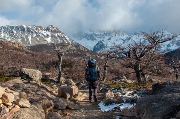 Trekker i fitz roy trail, södra argentina — Stockfoto