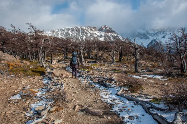 Trekker in Fitz Roy trail, South Argentina — Stock Photo, Image