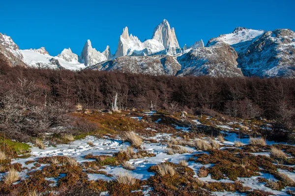 Krajobrazy Południowej Argentynie, w fitz roy szlak — Zdjęcie stockowe