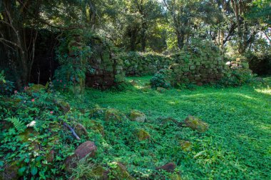 San Ignacio mini jesuites kalıntıları, misiones, Arjantin