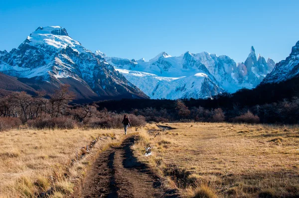 Landschaften im Süden Argentiniens, auf dem fitz roy trail — Stockfoto