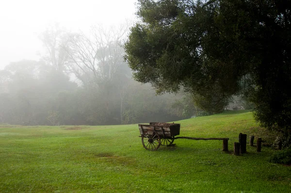 ミシオネス州、アルゼンチンの田園地帯に古い木造のチャリオット — ストック写真