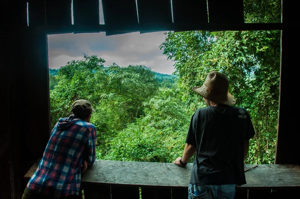 Tener una hermosa vista sobre la selva en Misiones, Argentina —  Fotos de Stock