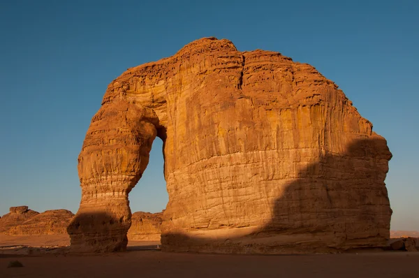 Eleplant Rock formation in the deserts of Saudi Arabia — Stock Photo, Image