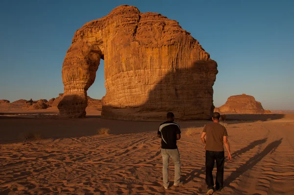 Eleplant Rock formation in the deserts of Saudi Arabia — Stock Photo, Image