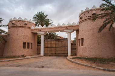 Riyadh extravagant and huge houses, Saudi Arabia clipart