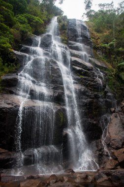 Itatiaia Milli Parkı durumda Rio de Janeiro, Brezilya