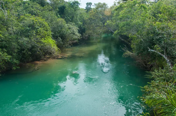 Czysta woda w rzekach w pobliżu Bonito, Brazylia — Zdjęcie stockowe