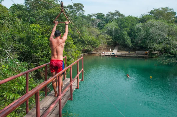 Preparando-se para o grande Salto, Bonito, Brasil — Fotografia de Stock