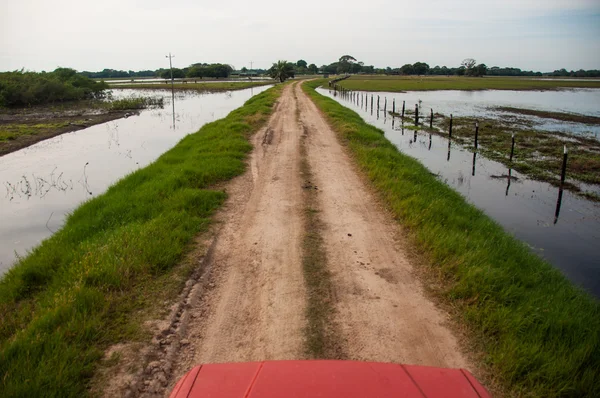 Autofahren in den Feuchtgebieten des südlichen Pantanal, Brasilien — Stockfoto
