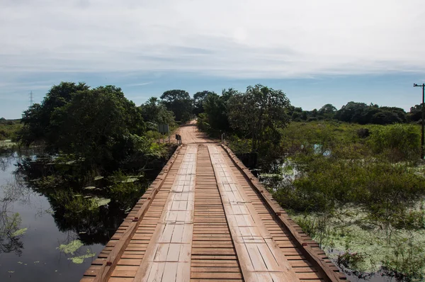 Landschaften im südlichen Pantanal Brasiliens — Stockfoto