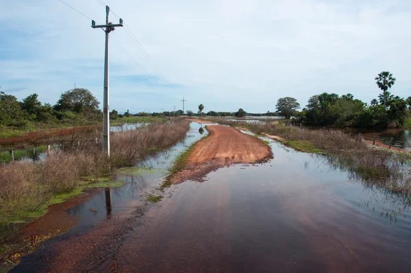 Затопленный маршрут в Южном Пантанале Бразилии — стоковое фото
