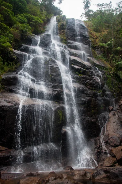 Parque Nacional Itatiaia en el estado de Río de Janeiro, Brasil —  Fotos de Stock