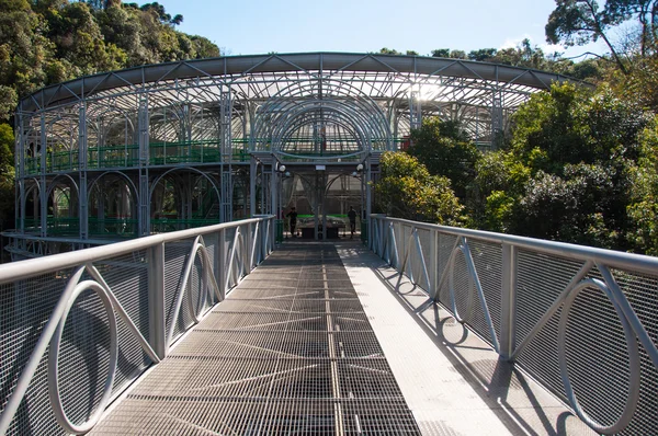 Curitiba Όπερα Στο Κράτος Parana Βραζιλία — Φωτογραφία Αρχείου