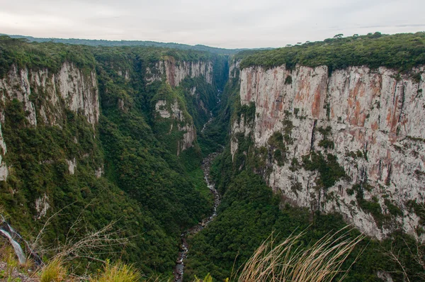 Itaimbezinho a Grand kanyon, a Rio Grande do Sul, Brazília — Stock Fotó