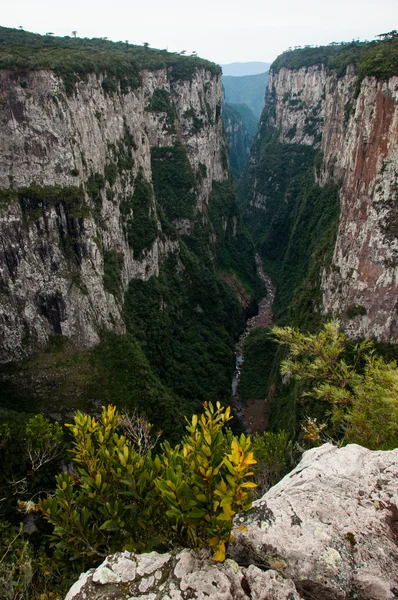 Gran Cañón de Itaimbezinho en Rio Grande do Sul, Brasil —  Fotos de Stock