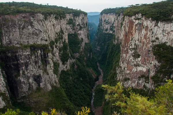 Itaimbezinho grand canyons in rio grande do sul, brasilien — Stockfoto