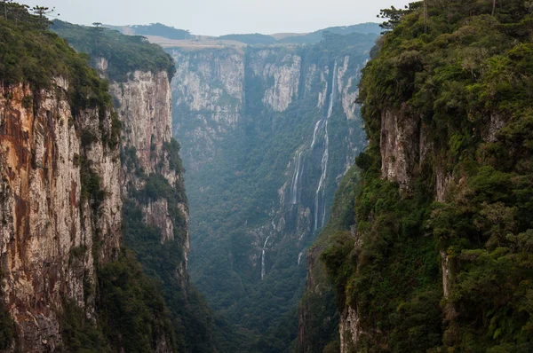 Itaimbezinho grand canyons in rio grande do sul, brasilien — Stockfoto