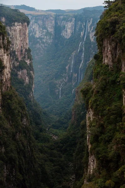 Itaimbezinho grand canyons in rio grande do sul, brasilien — Stockfoto