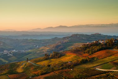 tepeler ve langhe bölgedeki üzüm bağları piedmont İtalya