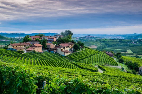 Tepeler ve langhe bölgedeki üzüm bağları piedmont İtalya — Stok fotoğraf