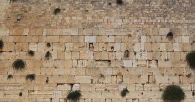 Western Wall clipart
