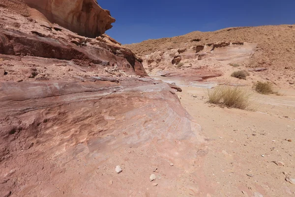 Deserto — Fotografia de Stock