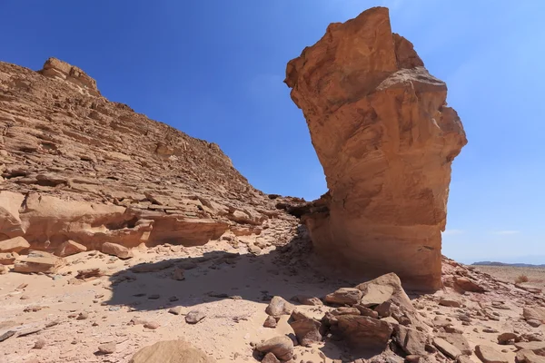 Desierto — Foto de Stock