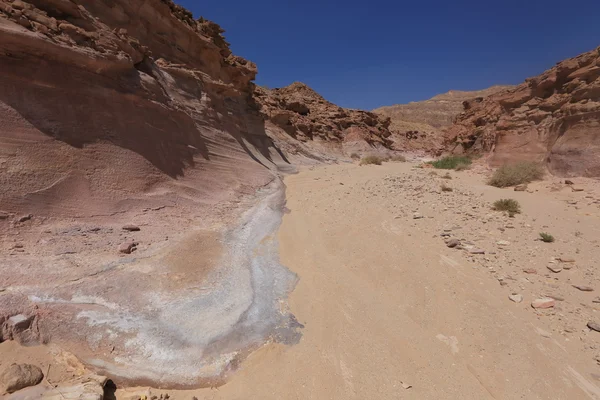 Desierto — Foto de Stock